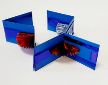 Load image into Gallery viewer, Hot Flip Flops